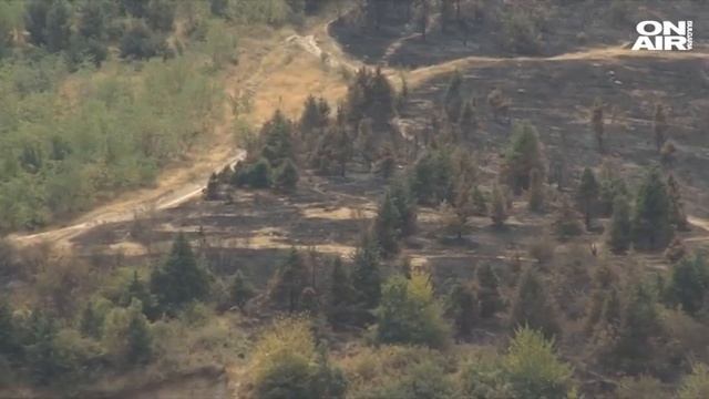 Бедствено положение във Велинград, пожарът обхвана 300 смотреть онлайн