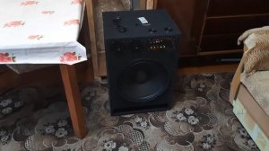 Новая колонка 2025 на динамике 15 дюймов Leem