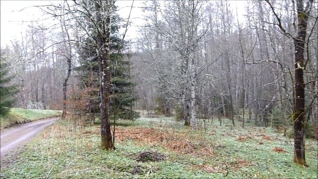 3D соревнования по стрельбе из лука. смотреть онлайн