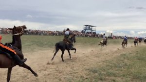 Финиш иноходцев 10 км. Замедленная съемка