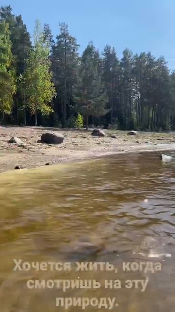 Питер, прекрасный уголок природы #piter #fishing #assassinscreed #valha смотреть онлайн