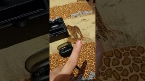 Tecno buds 4 рождественский выпуск обзора