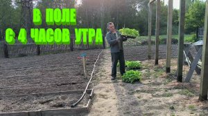 Высадили ТАБАК. КАПЕЛЬНЫЙ ПОЛИВ пришлось переделывать. Наша ЖИЗНЬ В ДЕРЕВНЕ.