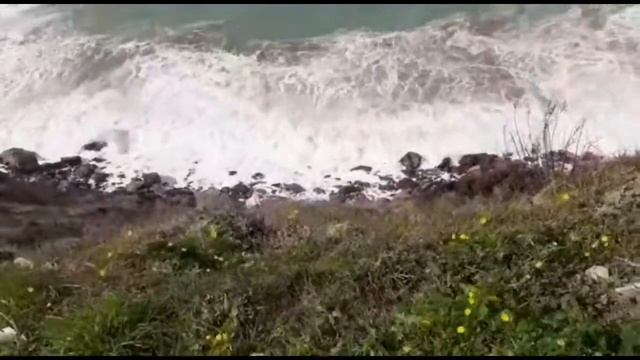 Море волнуется,Каламареска... смотреть онлайн