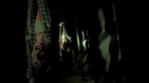 Аттракцион Комната Страха в Ереванском парке развлеч?