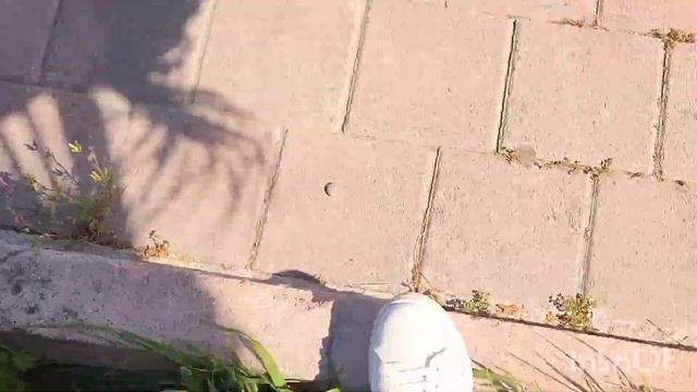 ПИКНИКОВАЯ ЗОНА САРЫСУ🫡ПИКНИК В АНТАЛИИ🌞#отдых #пут смотреть онлайн