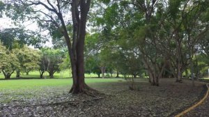 Плюсы и минусы жизни в Панаме. Влог о жизни в Панаме.