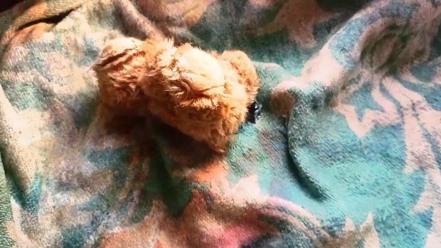 Мфsw фиолетовая цепь исход Вантиеса часть 3 смотреть онлайн