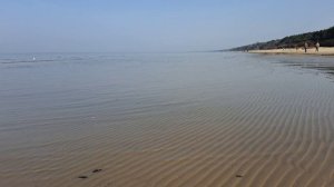 Волны времён