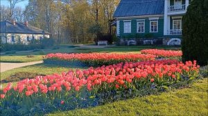 Пушкинские горы_прогулка по пушкинским местам