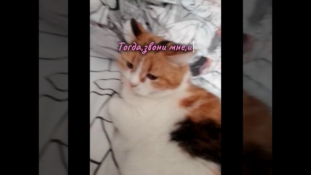 а ты хочешь поздравление от меня? смотреть онлайн