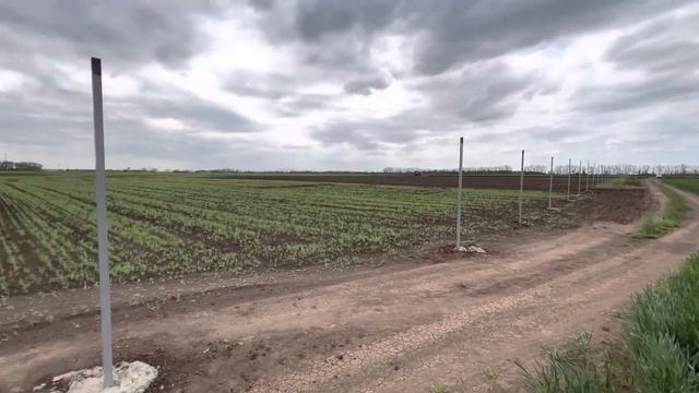 Забор сетка рабицы Учхоз Кубань