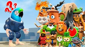 НОВАЯ СЕМЕЙКА мемов БЛУБЕРРИНИ ПАРРОТИНИ против ВСЕХ ИТАЛЬЯНСКИХ мемов БРЭЙНРОТ