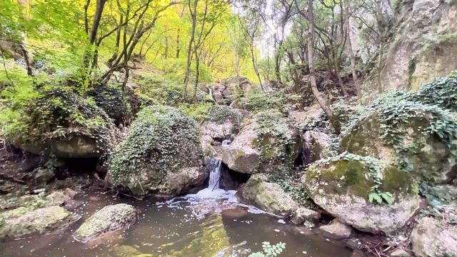 1-й день в горах Кахетии: Орлиное ущелье и Монастырь Св? смотреть онлайн