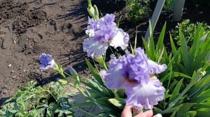 25-05-2025 Жизнь в деревне 🏡.