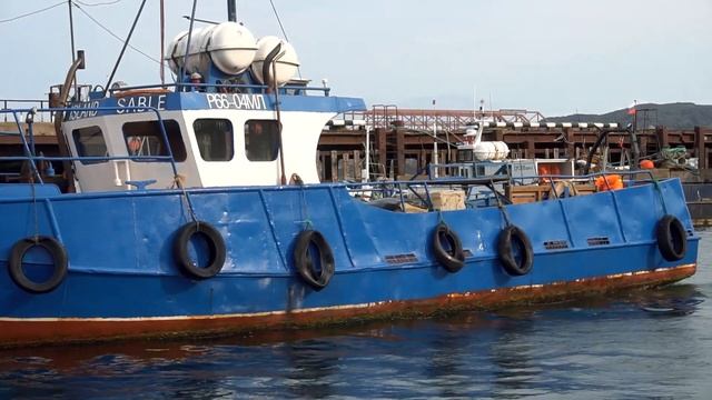 Ищем китов на Кольском полуострове. Путешествие на ба? смотреть онлайн