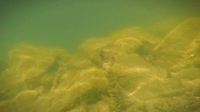 Новомичуринск, Рязанская ГРЭС, Сап оз. Зеленое - р. Про? смотреть онлайн