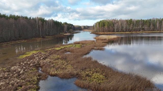 Вярска.Прогулка по посёлку и природным тропам.#estonia смотреть онлайн