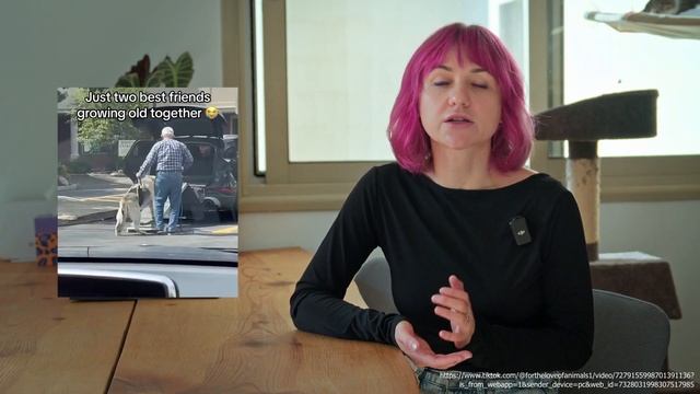 Как пережить потерю любимого питомца | Советы кинолог? смотреть онлайн