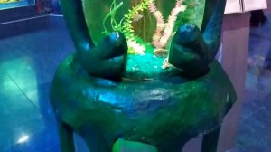 Океанариум в Краснодаре / Куда сходить в Краснодаре / д