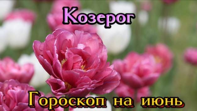 Козерог! Гороскоп на июнь 2025 года! смотреть онлайн