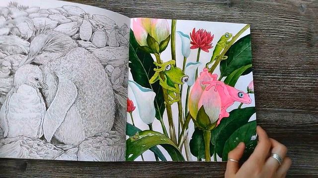 Раскрашенное #37 - Много всего + Муся смотреть онлайн