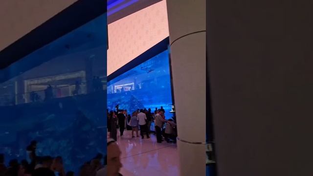 Как увидеть весь Дубай за 5 минут? Я отметилась 😅 БЕСП? смотреть онлайн