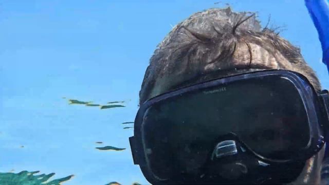 Египет  Дахаб.  Отель Tropitel Dahab Oasis