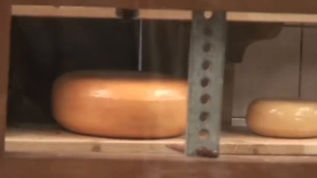Гена Букин рассказывает про сыр.mpg смотреть онлайн