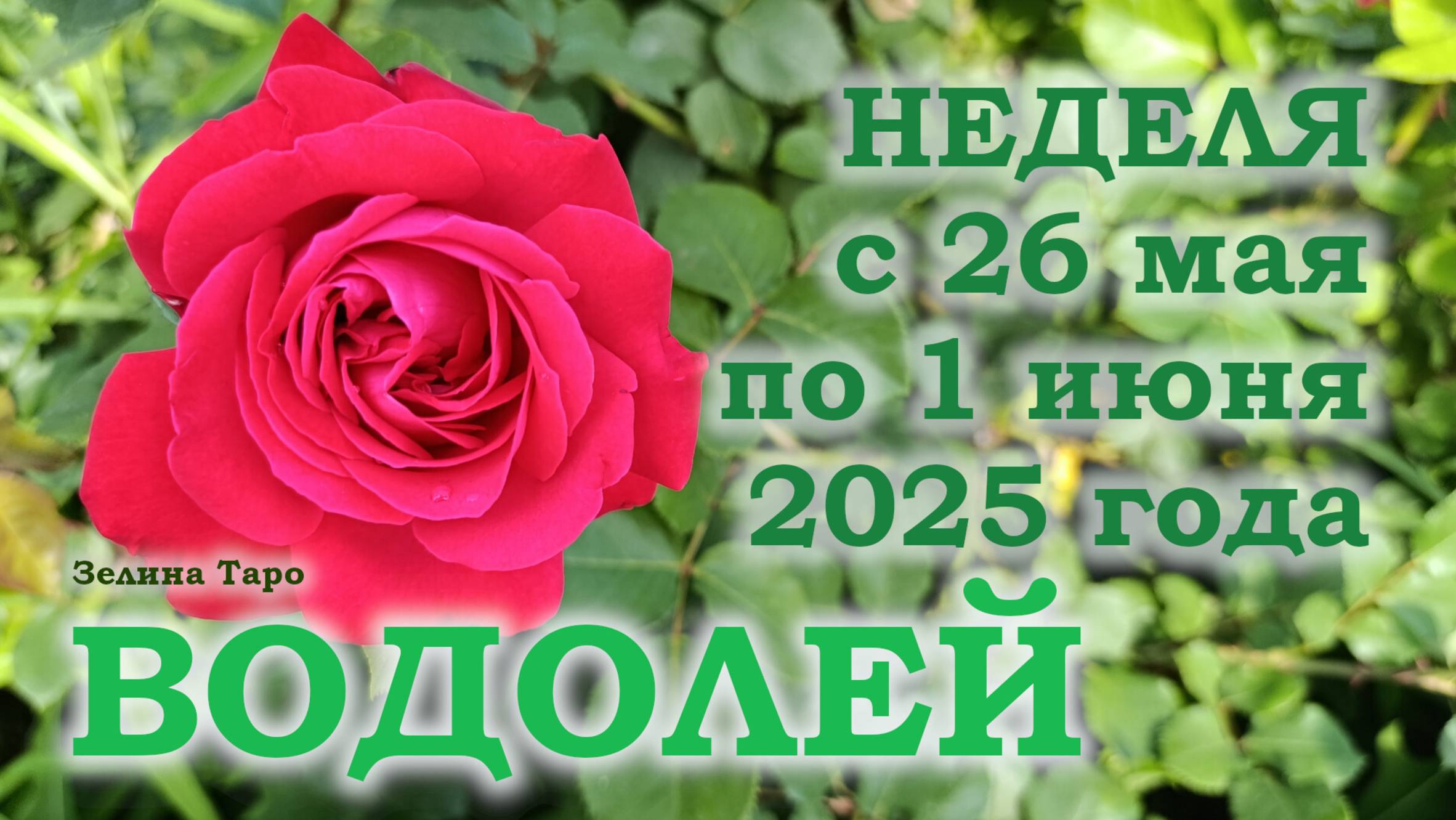 ВОДОЛЕЙ | ТАРО прогноз на неделю с 26 мая по 1 июня 2025 года