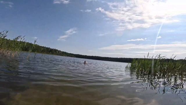 озеро Широха (Владимирская область)