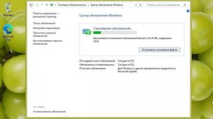 Полное обновление Windows 8.1 в марте 2025/Full Windows 8.1 update in March 2