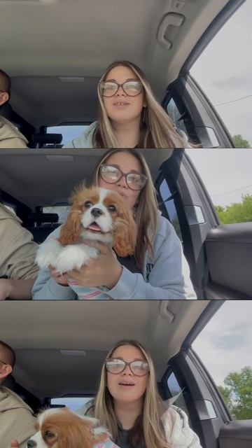 ВСЕ ЕДУТ НА РАБОТУ , ФЕТЮША И ВАСИЛЕК ,НОРА смотреть онлайн