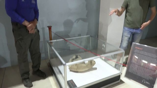 Музей Костенки