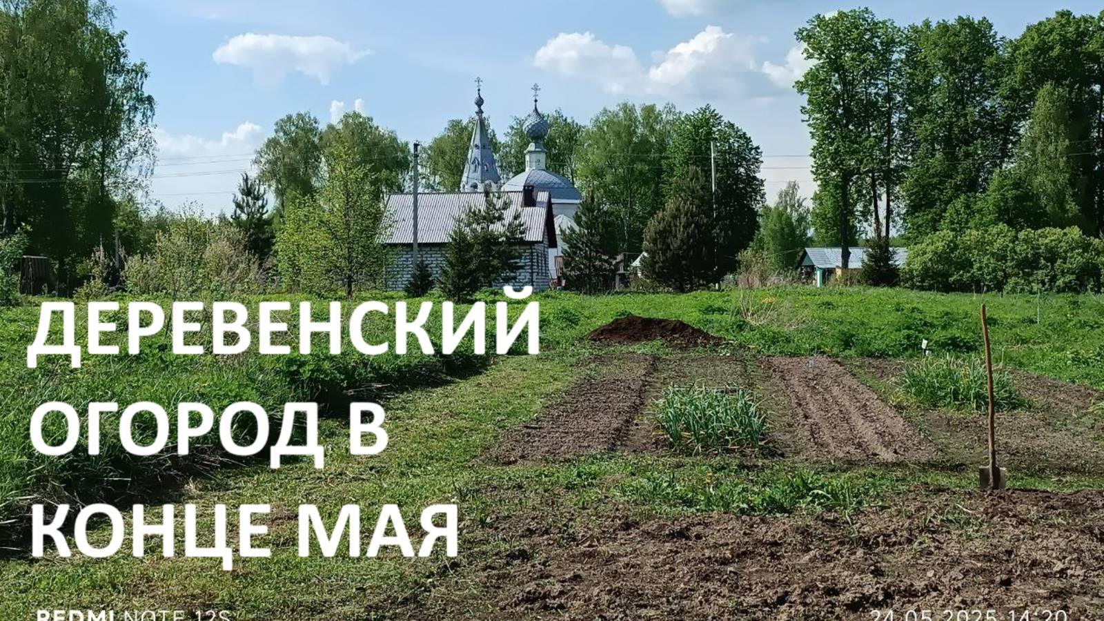 20 соток в конце мая//сажаем картошку//поливаем теплицы//наши яблони//доделываю цветник. смотреть онлайн