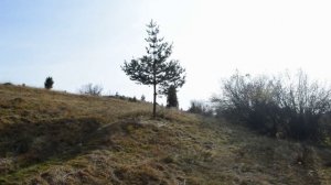 Кањон Увац - ЦПС