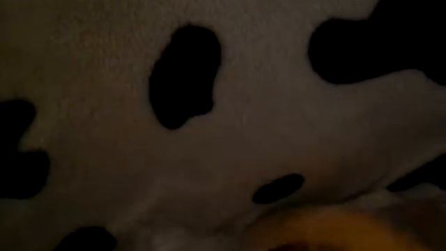 Обзор конфет