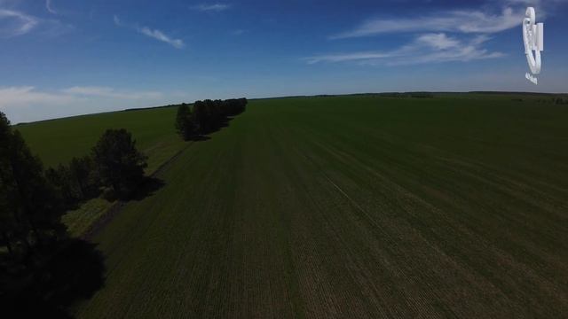 DJI AVATA2 Первый запуск, первые впечатления! #dji #avata2 #drone #dro