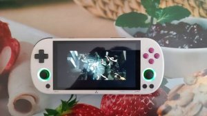Портативная игровая приставка Trimui Smart Pro в 2024 году