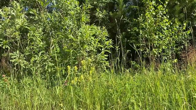 ВОТ МОЙ НОМЕР КАРТЫ, Я ЖДУ ДЕНЬГИ ОТ ТЕБЯ!... | Истории из жизни.