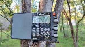 Tecsun PL 880 превосходен на природе. 30 & 40 метров. SSB.(1)
