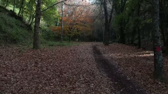 Друзья опубликовали это фото и бесследно исчезли. Спу? смотреть онлайн