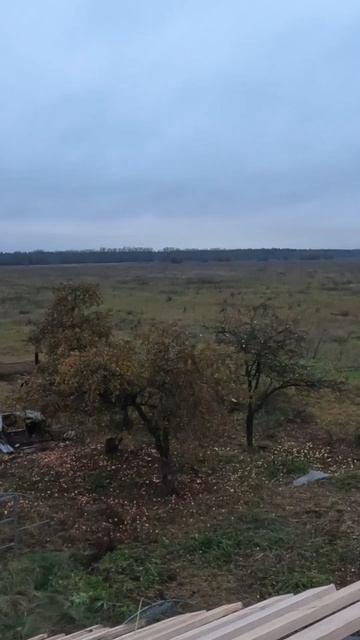 моя новая крыша #своимируками #стройка #ремонт #ремонтвдоме #деревенскийдом #восстановлениедома смотреть онлайн
