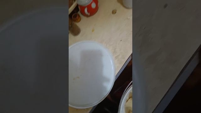 подкормил пчел