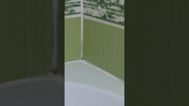 Как удалить плесень лёжа на диване? #плесень #ванная #диван #сырость #дожди смотреть онлайн