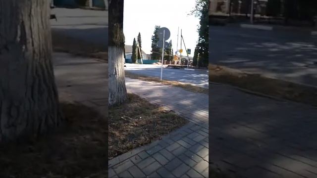 ДОЛГОРУКОВО. ПРЯМОЙ ЭФИР. ТВ МАЭСТРО. +7(965) 199-99-11 смотреть онлайн