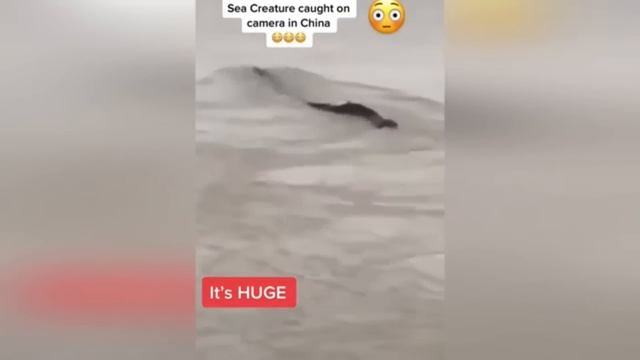 Это Существо Надругалось над Девушкой. Жуткие Паранор смотреть онлайн