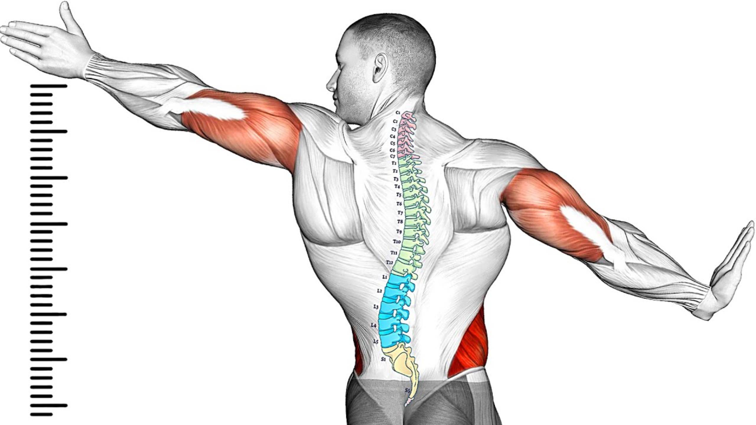 10 лучших Упражнений для Увеличения Роста смотреть онлайн