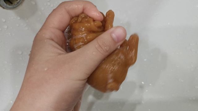 Снимать ли видео с сквишь собачкой?