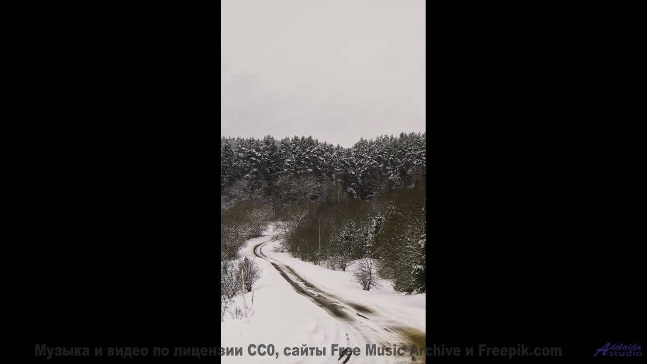 Лес поёт - вы слышите - Thumper -- Jim Hall -- MishMash EP